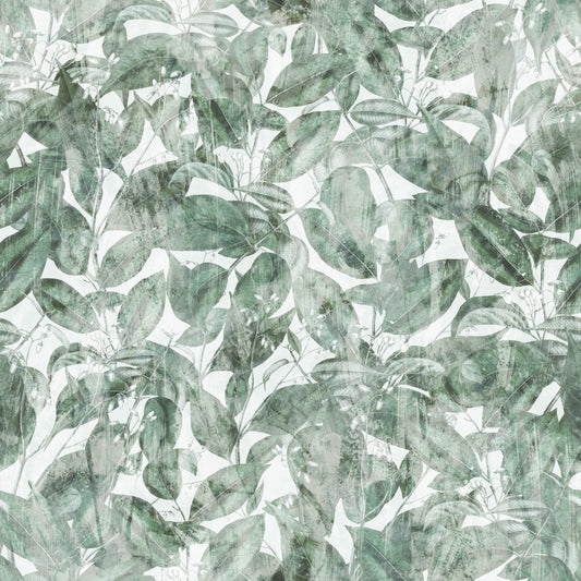 Misty Forest Leaf Canopy Wallpaper⁠