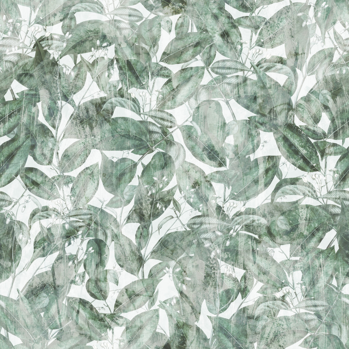 Tapet med botaniskt skogsmotiv i salviagrönt sage‑tryck in your room — zoomed
