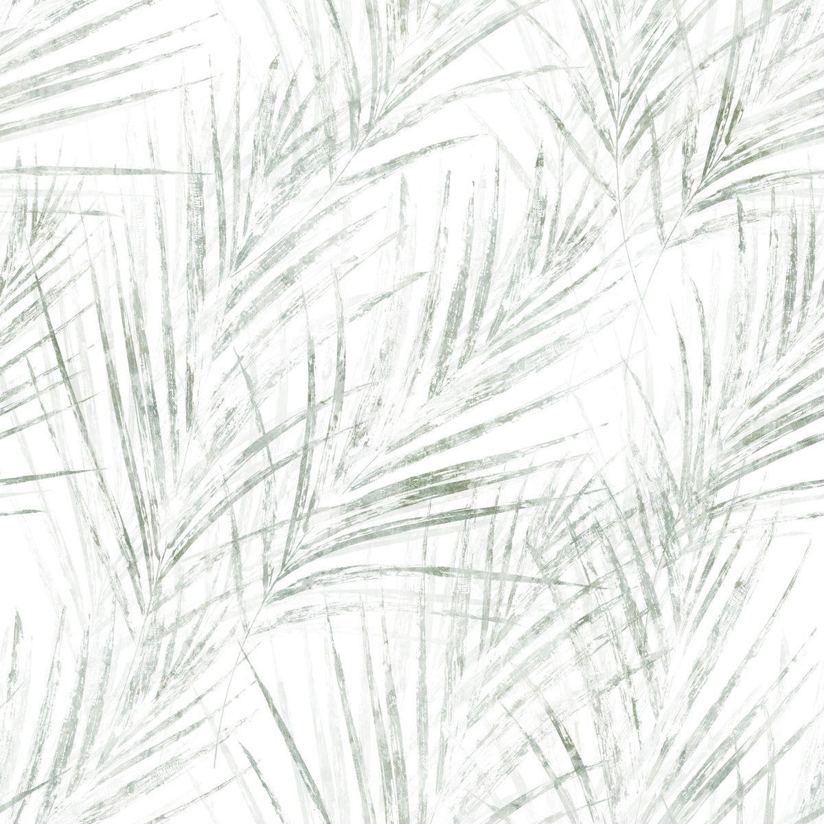 Botanische Palmenskizzen-Tapete in Salbeigrün in your room — zoomed