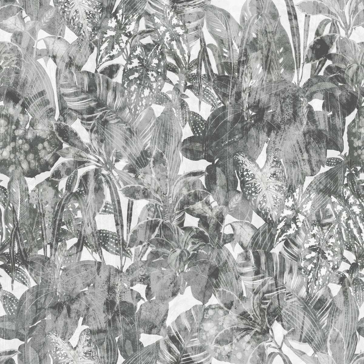 モノクロのジャングル植物柄壁紙