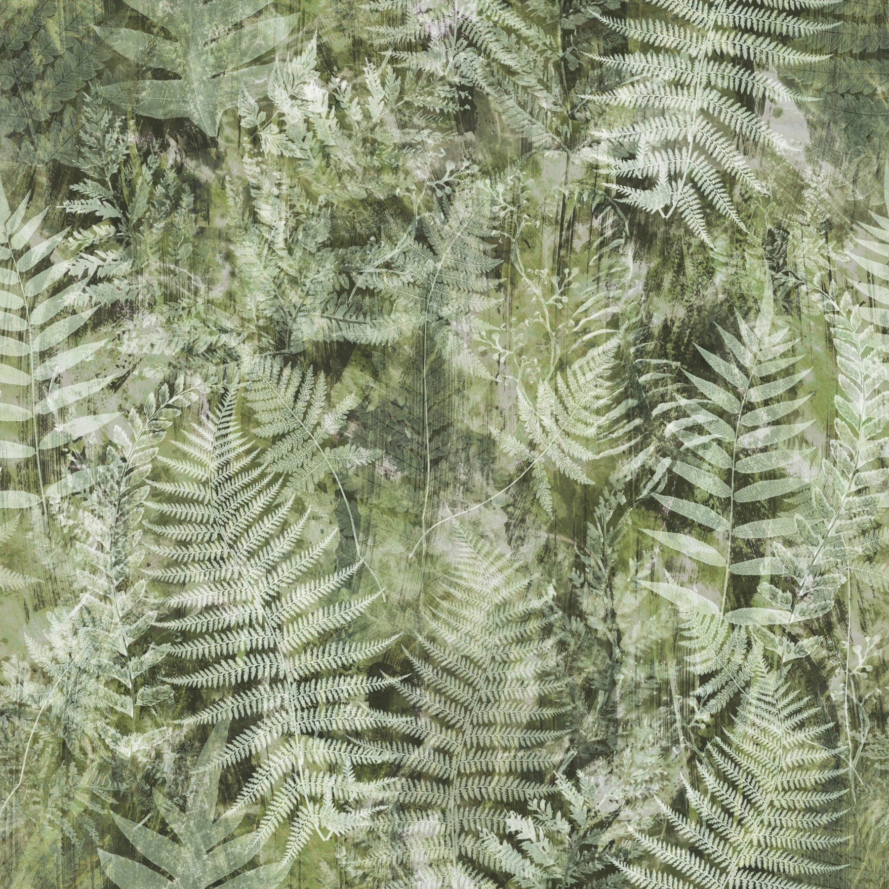 Carta da parati con stampa botanica di felci della foresta