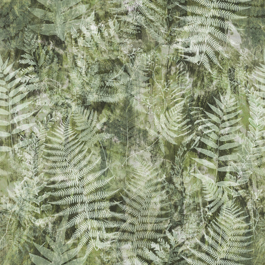 Botanisk tapet med skovbregnemotiv