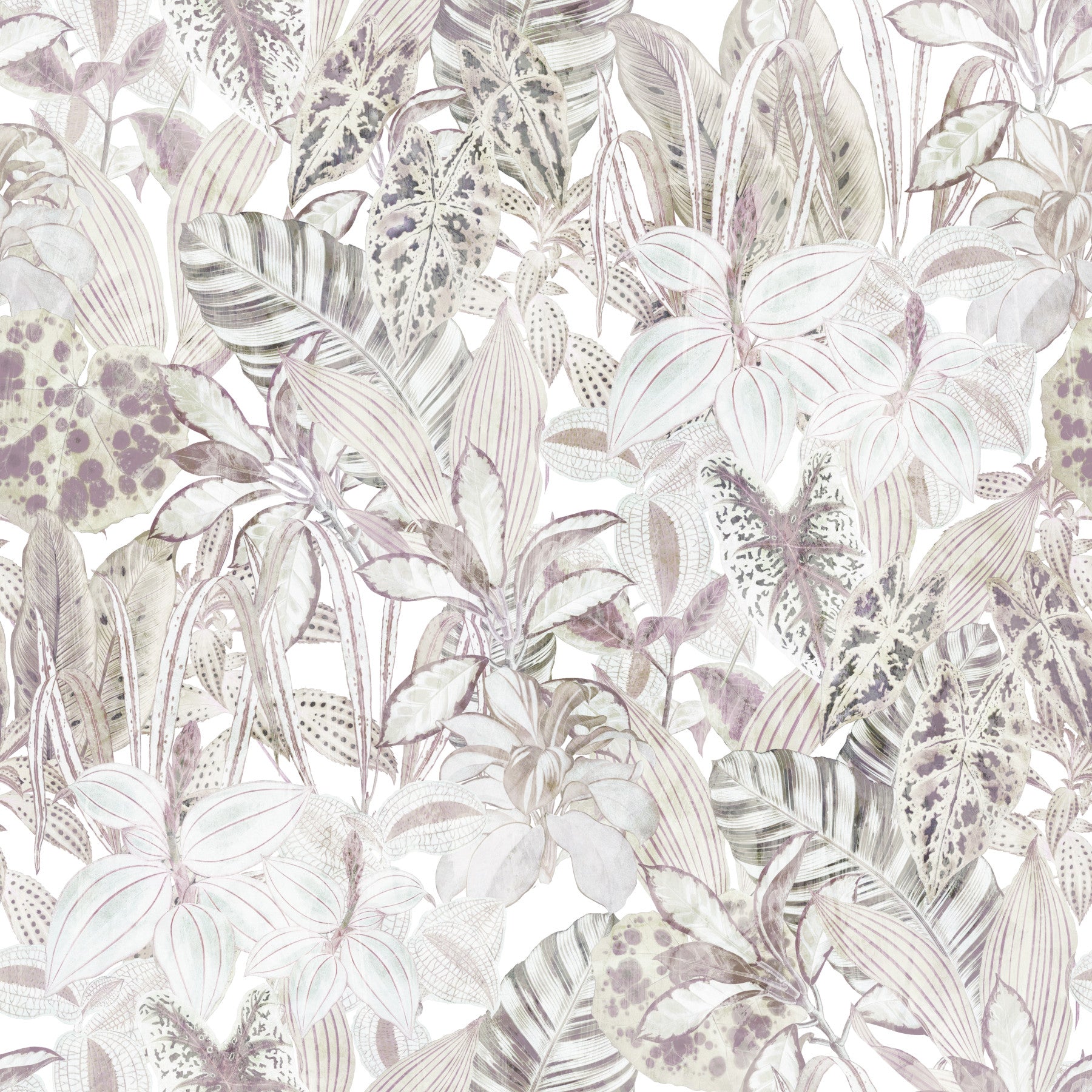 Papier peint botanique feuillage éthéré