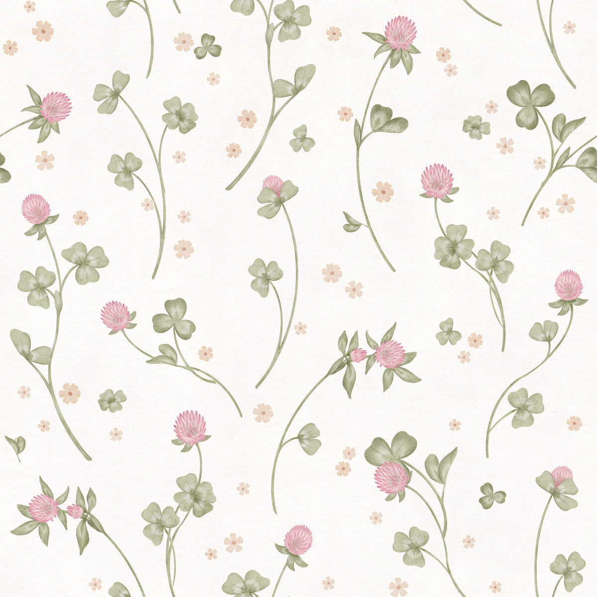 Tapet med botanisk illustration av ängsklöver in your room