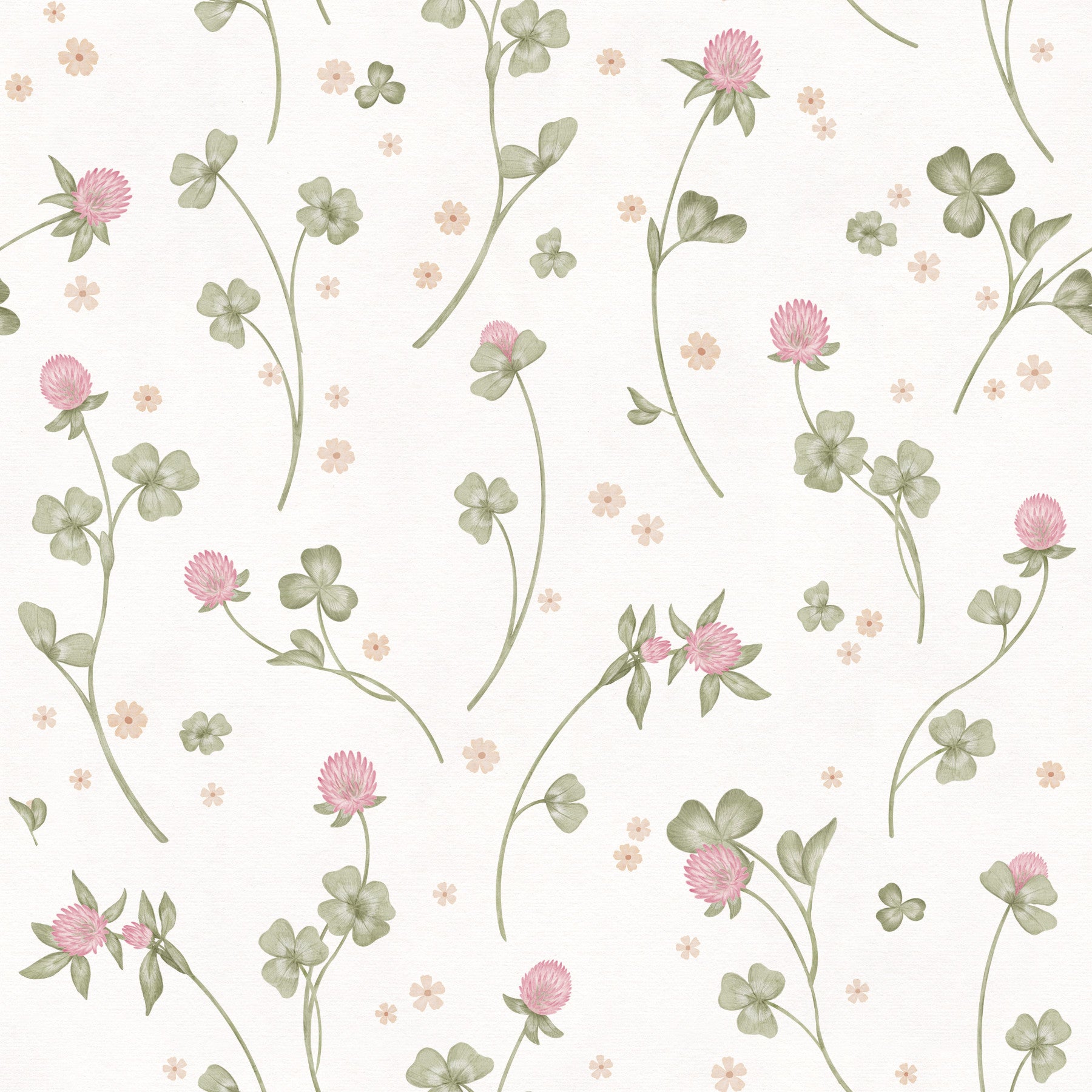 Botanische illustratiewandbekleding met weideklaver