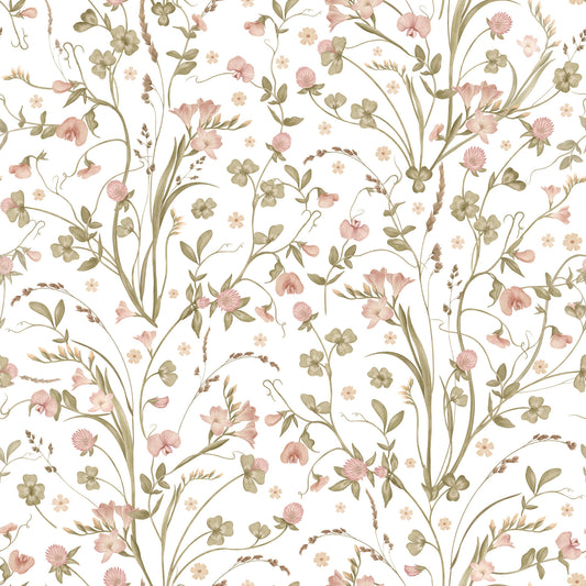 Papier peint illustré botanique de fleurs sauvages des prairies