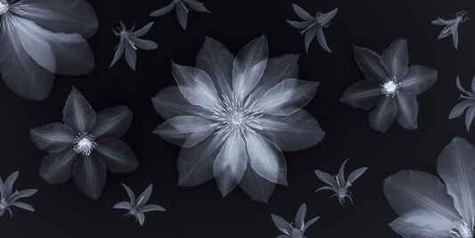 Ätherisches Nachtflora-Wandbild