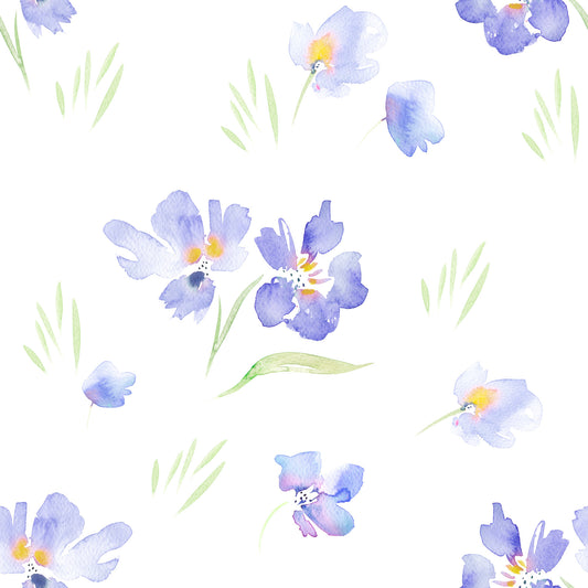 Carta da parati con fiori di violetta di prato ad acquerello