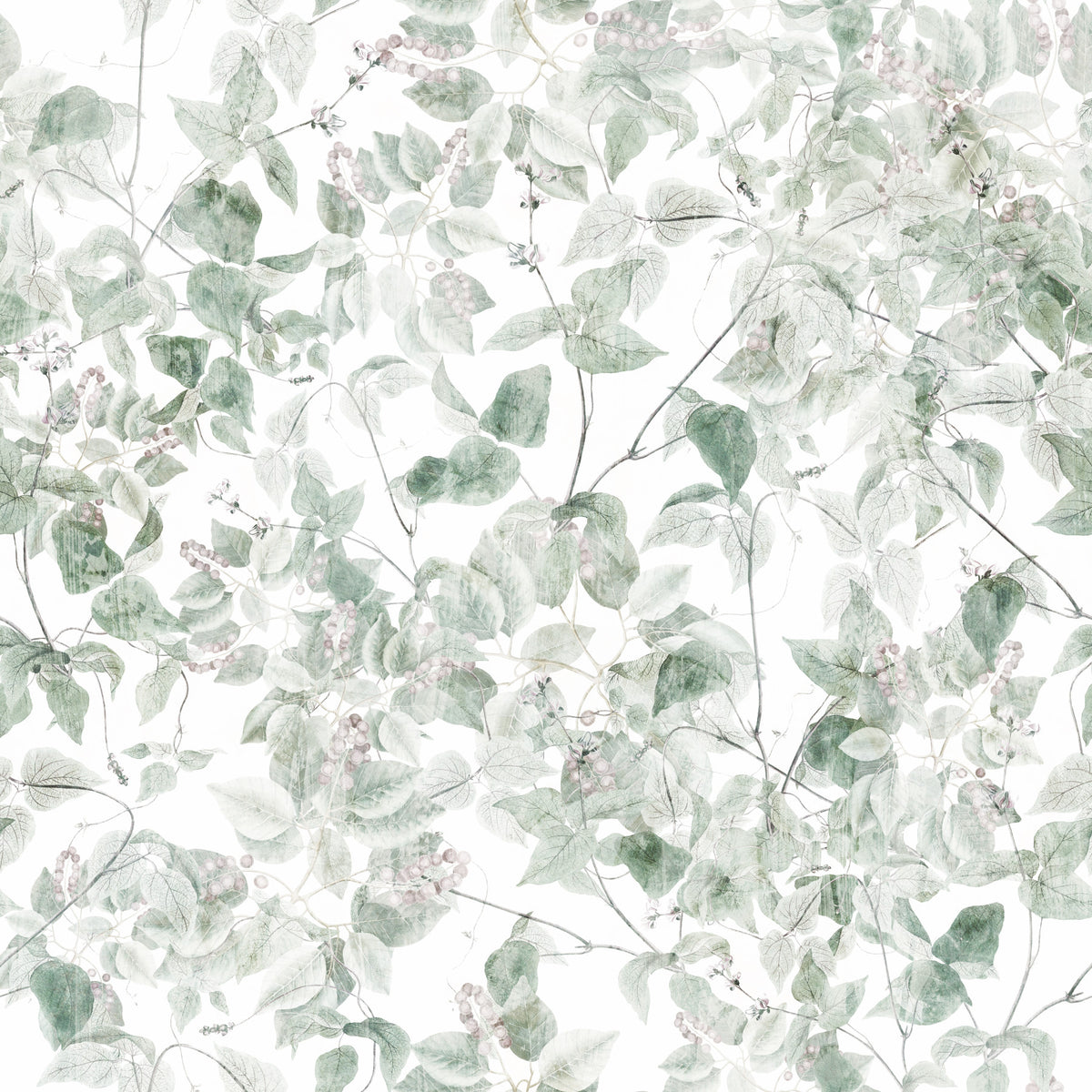 Ätherische Waldreben-Tapete in your room — zoomed