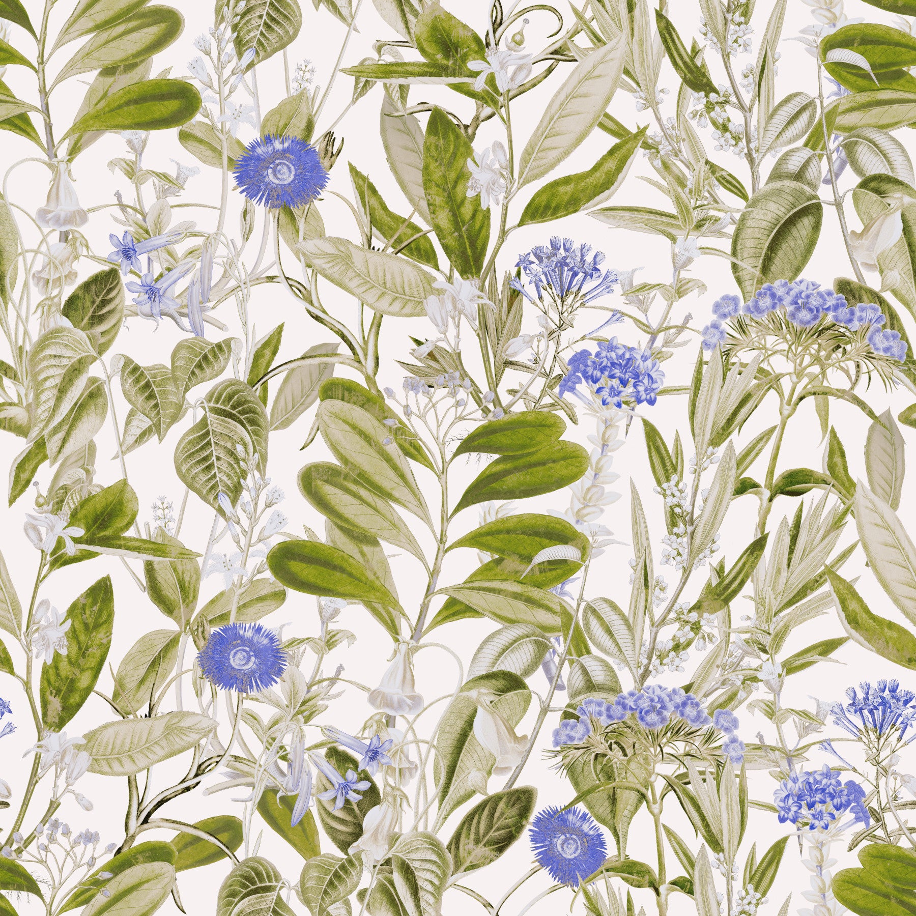 Ruhige blaue Blumenstudie „Wiese“ – Tapete