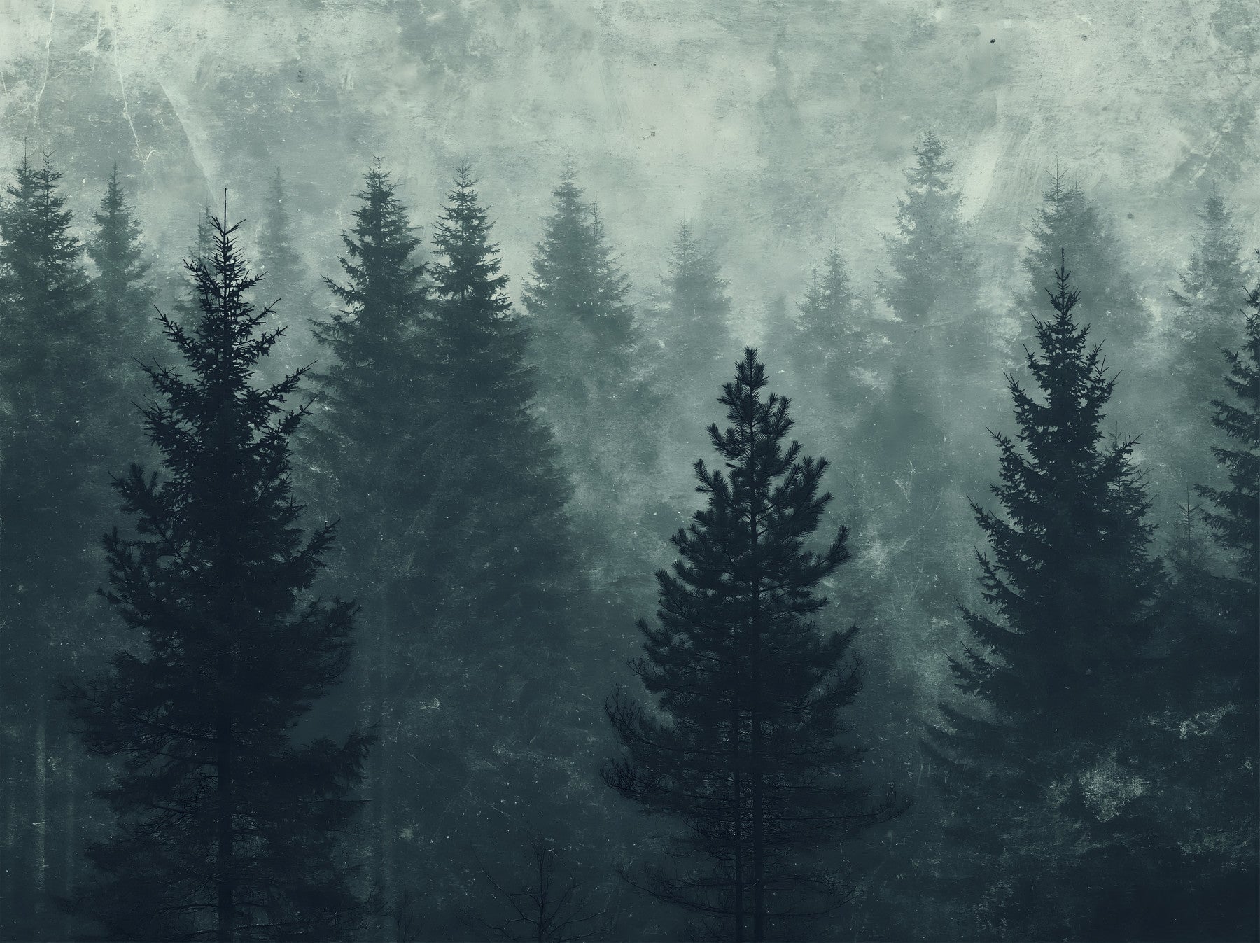 Murale da parete con silhouette di una foresta di pini nella nebbia
