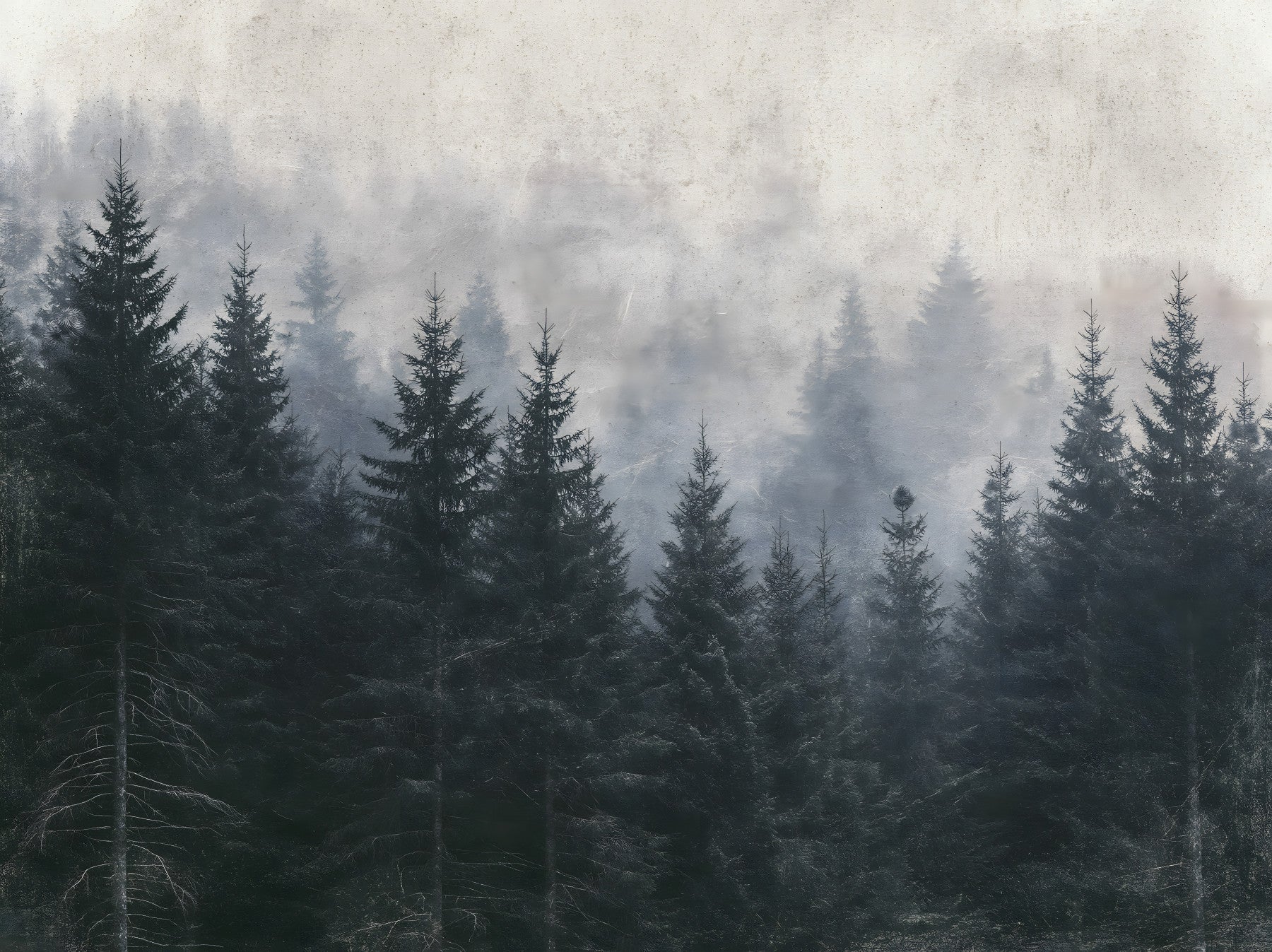 Fresque murale de forêt de conifères, ambiance atmosphérique