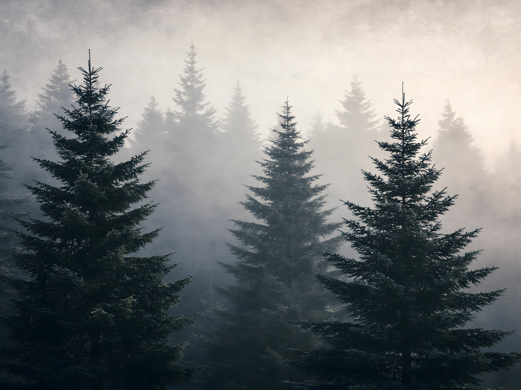 Wandmuurschildering met studie van een mistig winterbos