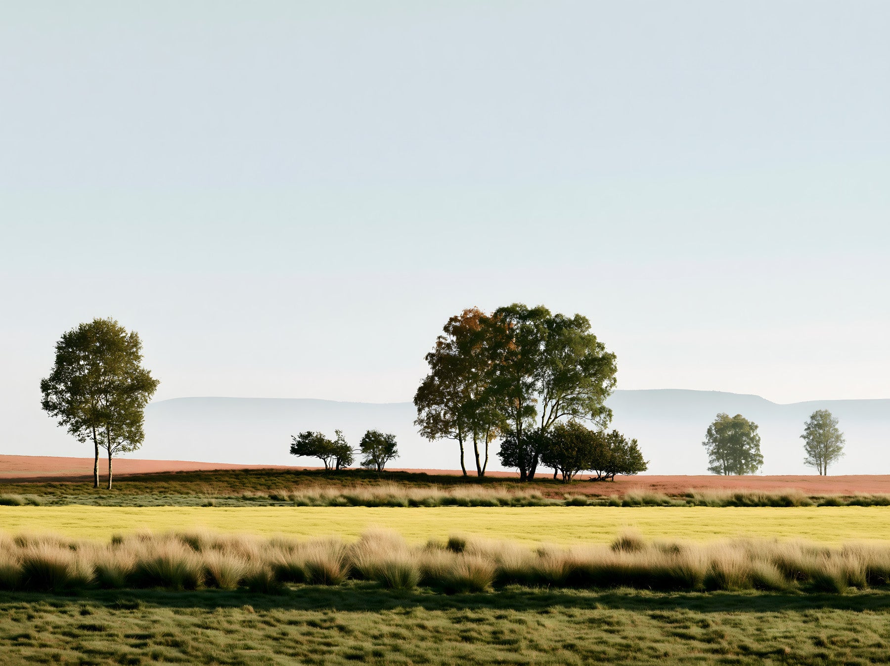 Fresque murale paysagère « Horizon brumeux au matin »