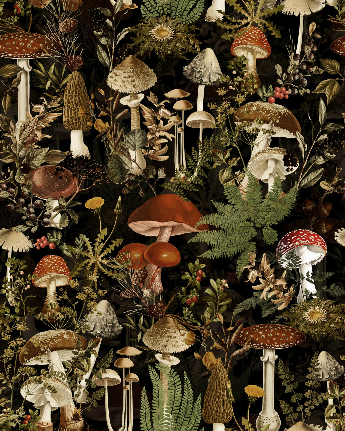Carta da parati botanica «Funghi della foresta di mezzanotte»