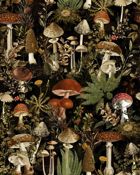 Papier peint botanique « Champignons de la forêt nocturne »