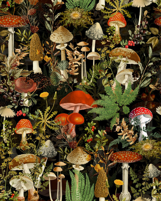 Papier peint vintage de champignons forestiers en pleine récolte