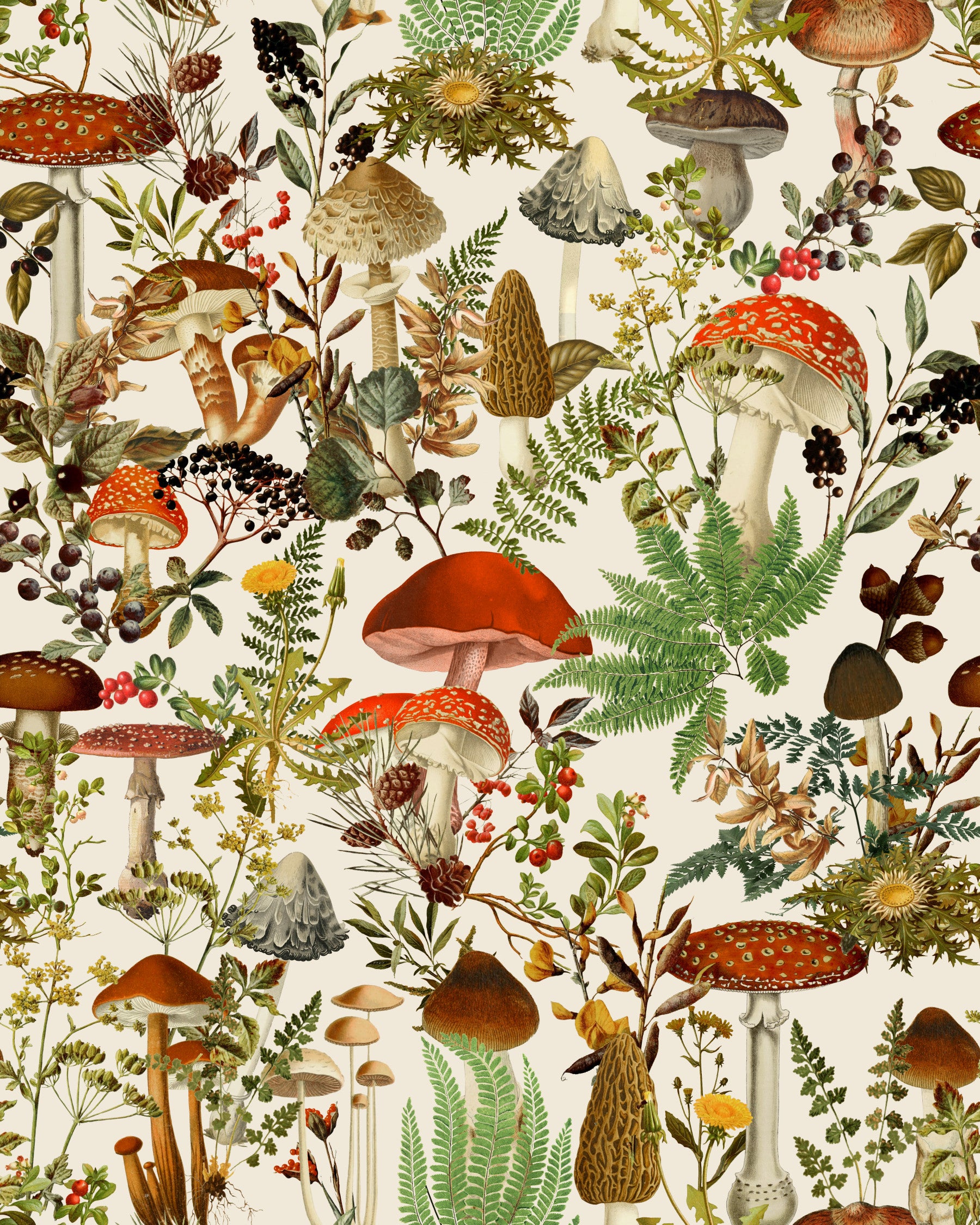 Papier peint rustique de bolets et de fleurs des sous-bois