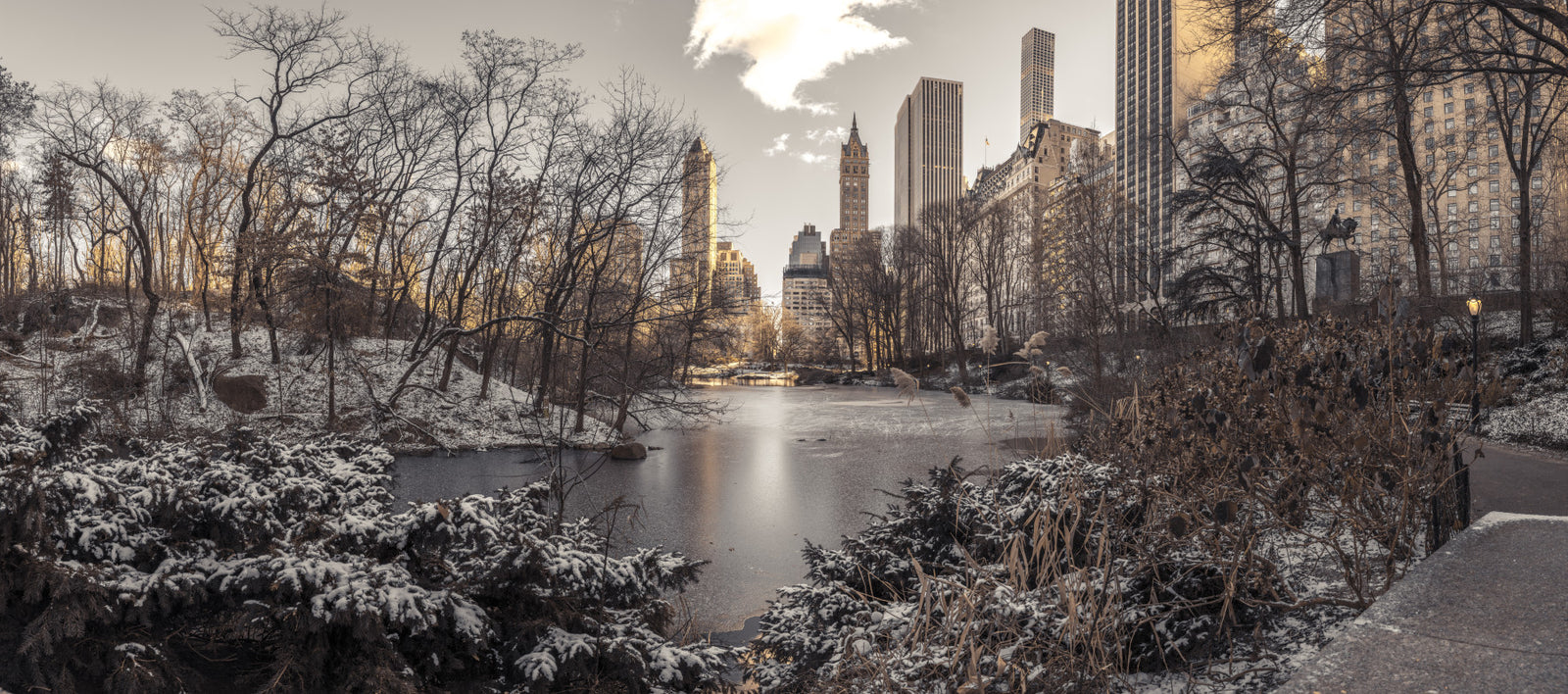 Frozen Urban Sanctuary Wall Mural