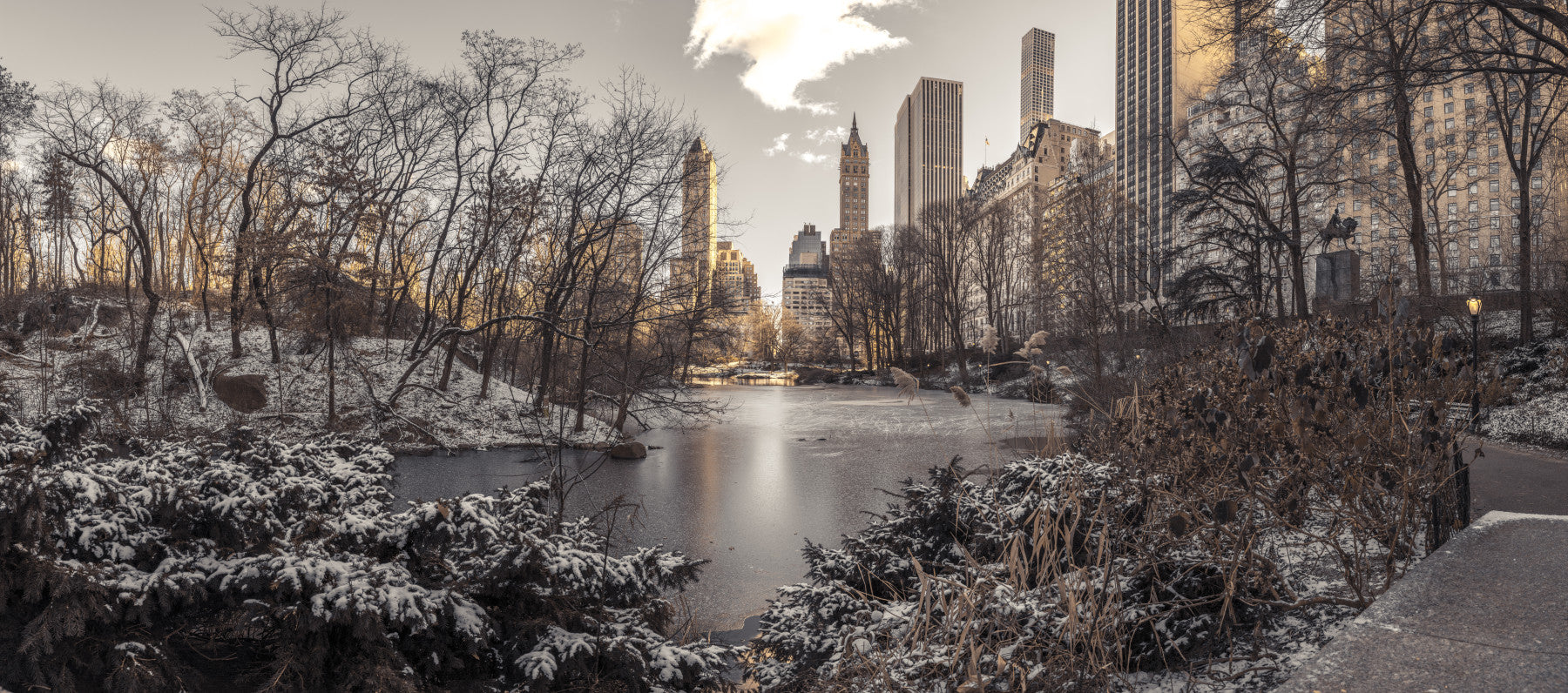 Frozen Urban Sanctuary Wall Mural in your room — zoomed