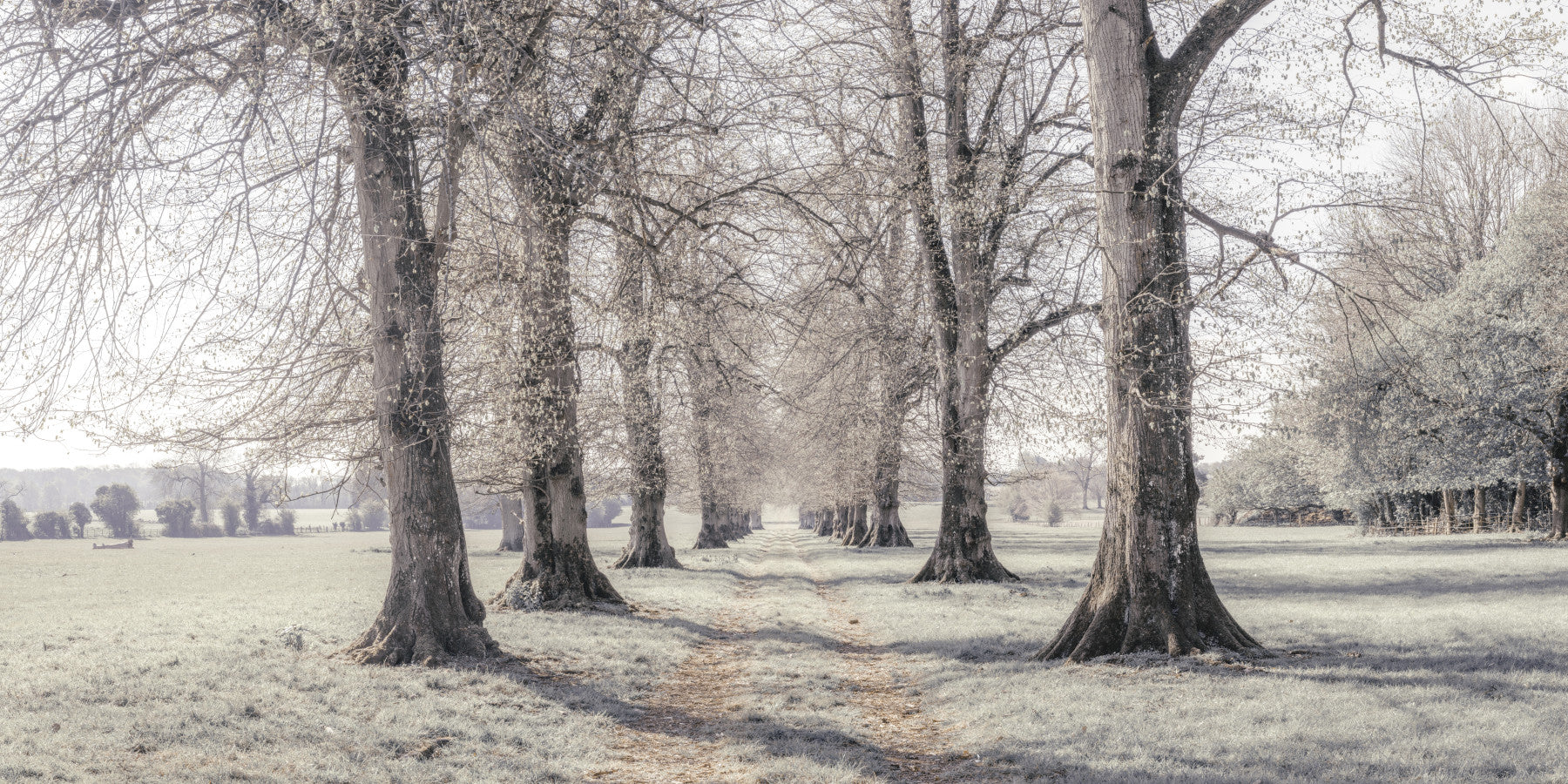 Rustikales Winterhain-Wandbild mit Perspektive in your room — zoomed