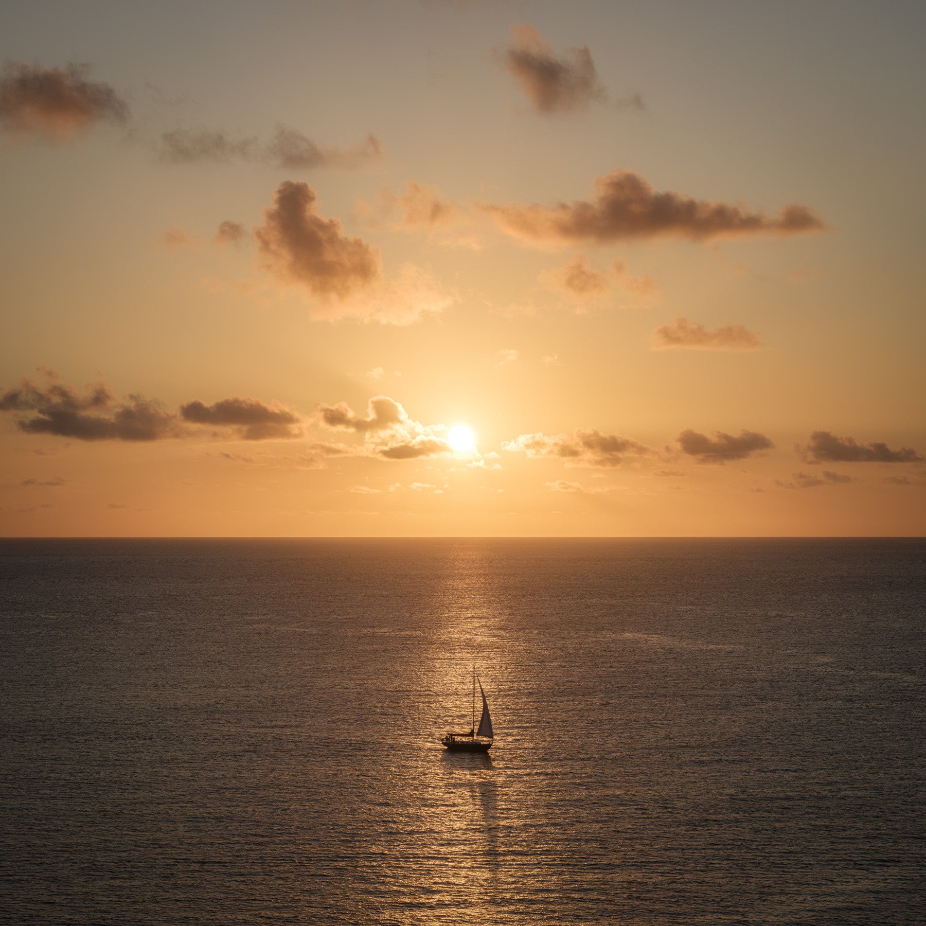 Väggmålning med havsutsikt i Amber Horizon