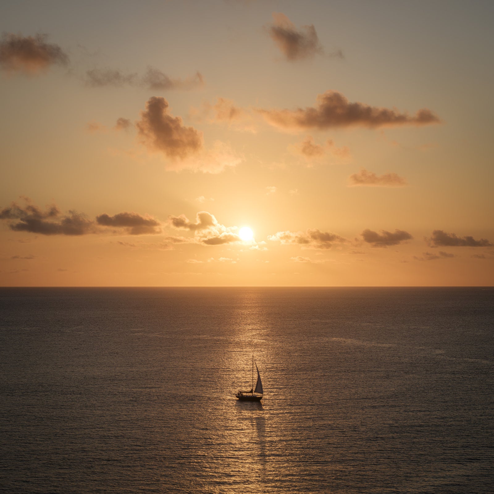 Väggmålning med havsutsikt i Amber Horizon