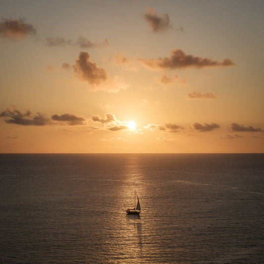 Amber Horizon Maritime View Wall Mural