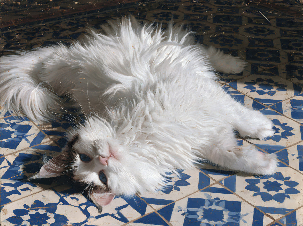 Wandbild „Ruhende flauschige Katze auf mediterranen Fliesen“