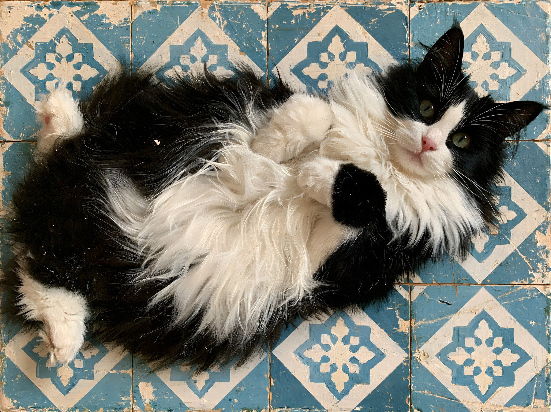 Murale da parete con ritratto di gatto blu rustico piastrellato