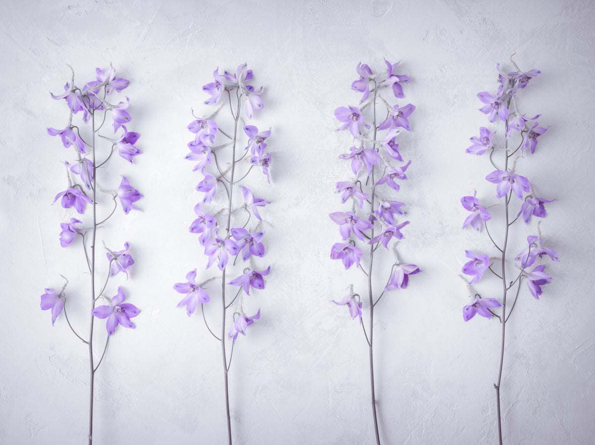 Abstraktes Wandbild mit floralen Lavendelstängeln in your room