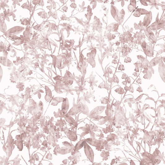 Blush botanisk engskisse-tapet