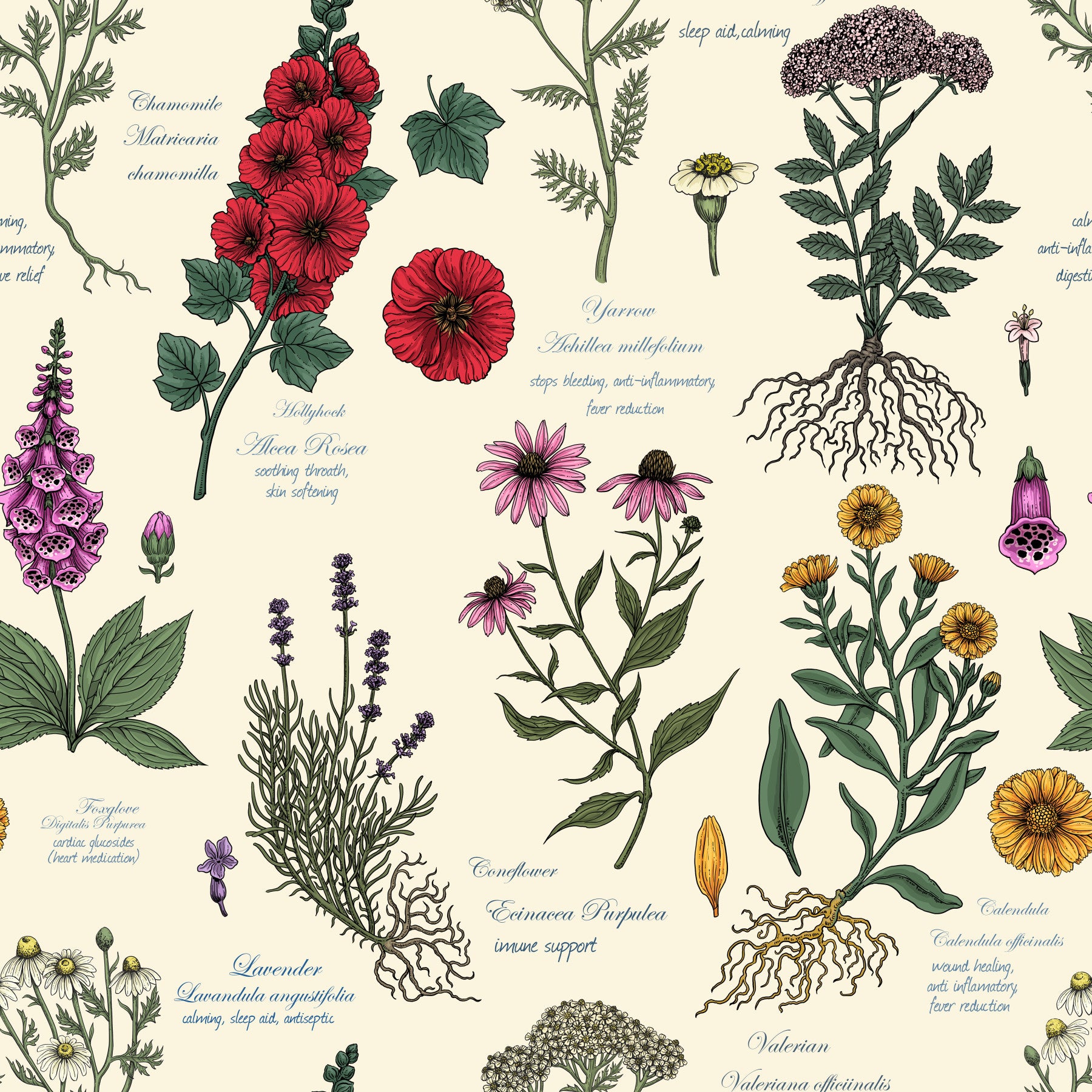 Vintage Botanical Herbarium Study Wallpaper⁠
