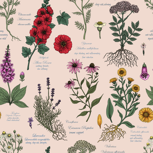 Medicinal Wildflower Garden Study Wallpaper⁠