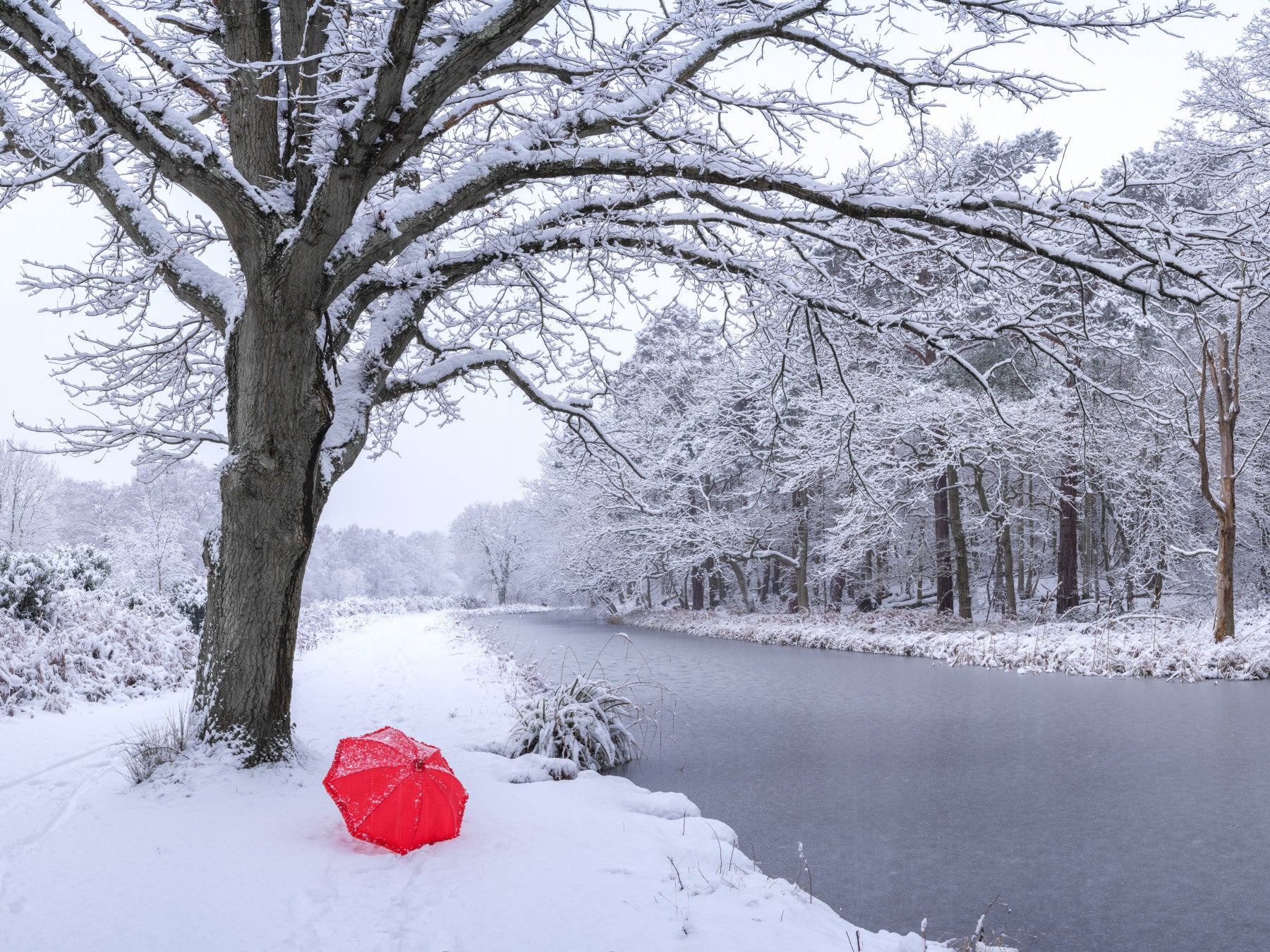 Wandbild mit zugefrorenem Kanal und winterlichem Wald