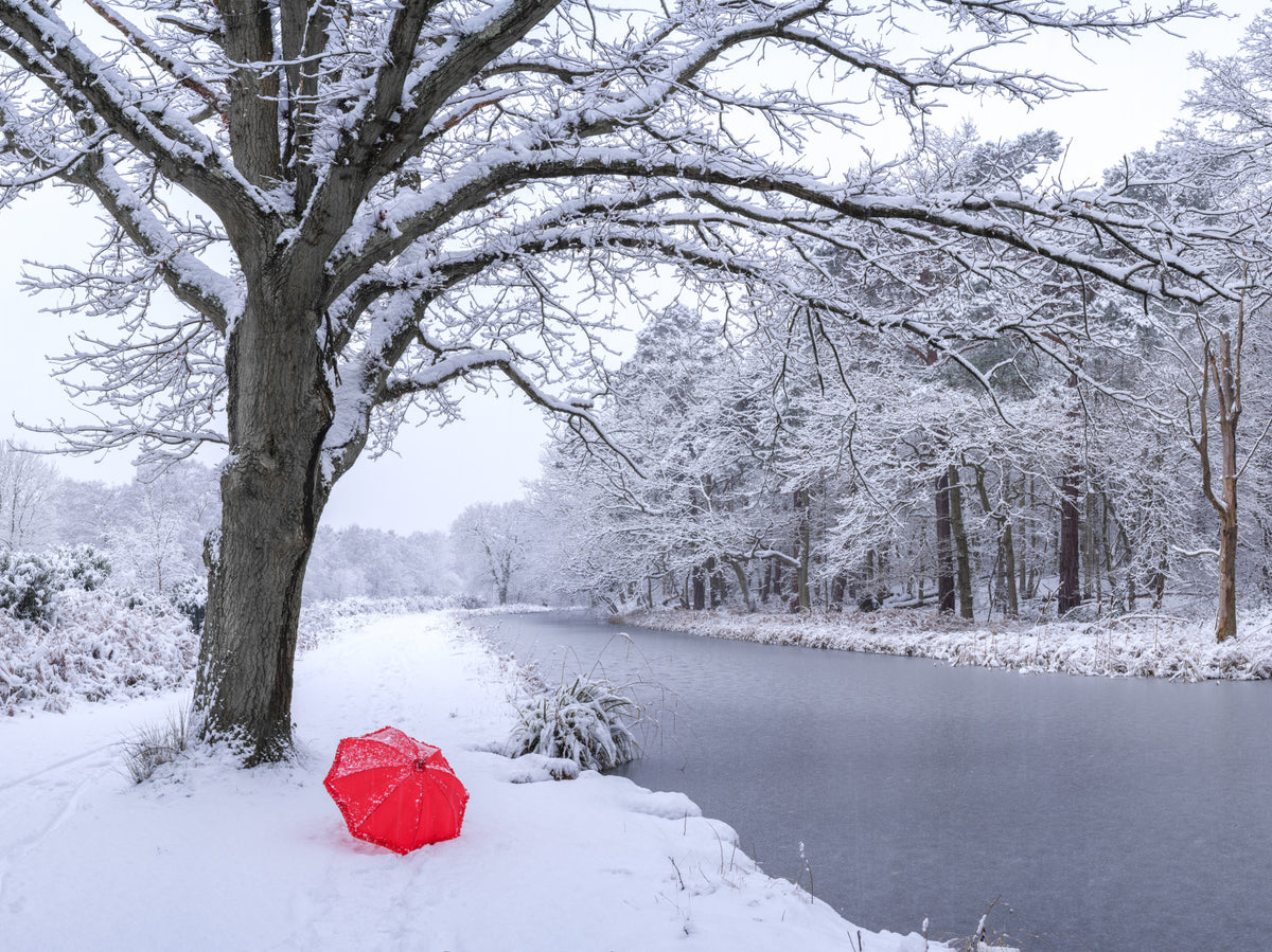 Wandbild mit zugefrorenem Kanal und winterlichem Wald in your room — zoomed
