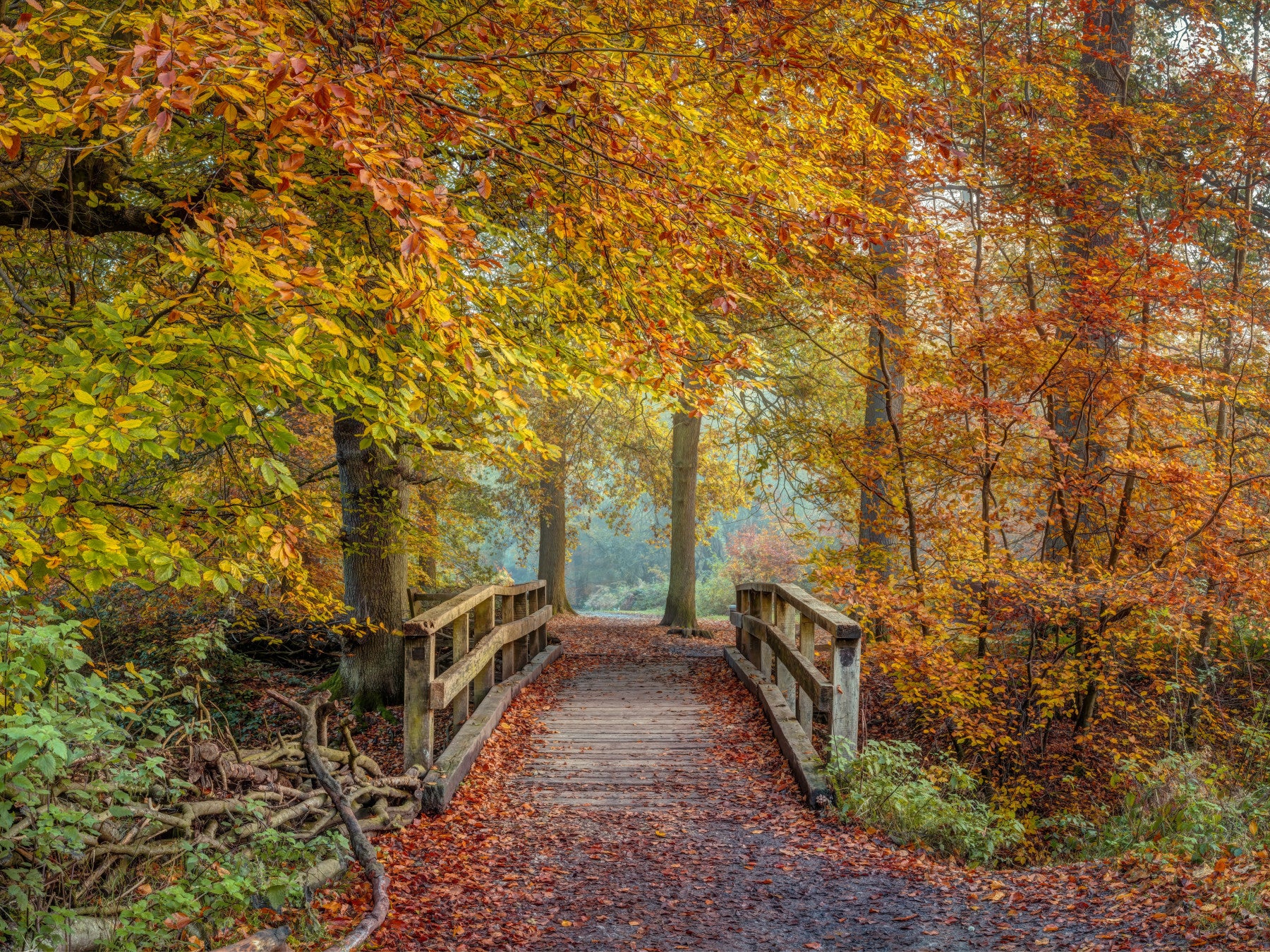 Mural panoramique mural « Passerelle sur un pont dans une forêt brumeuse »