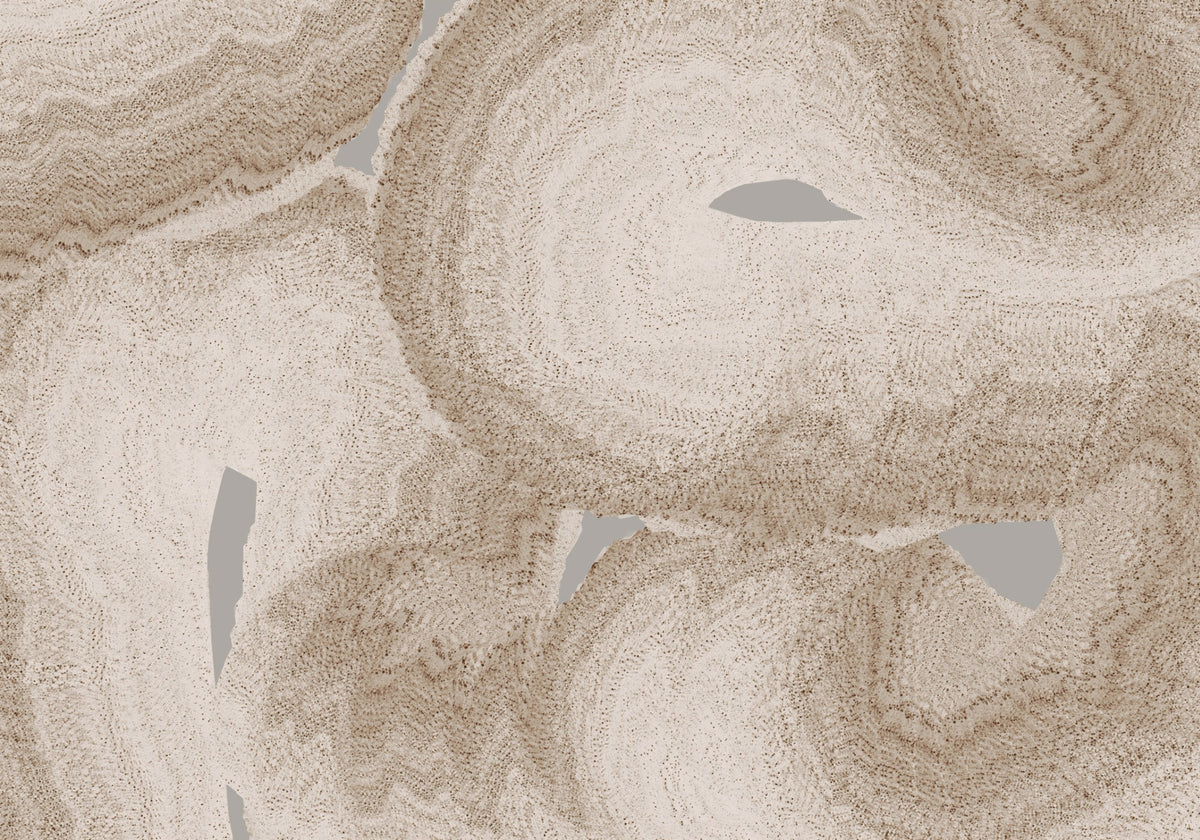 Murale da parete astratto nei toni terrosi naturali in your room — zoomed