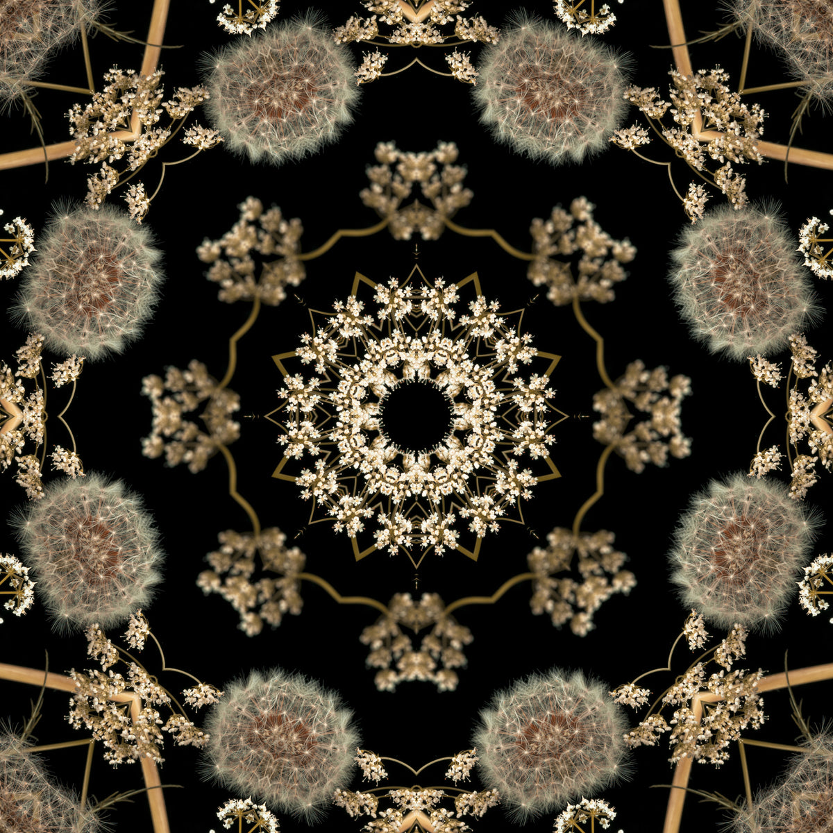 Carta da parati Midnight Meadow con flora radiale in your room — zoomed