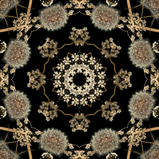 Carta da parati Midnight Meadow con flora radiale