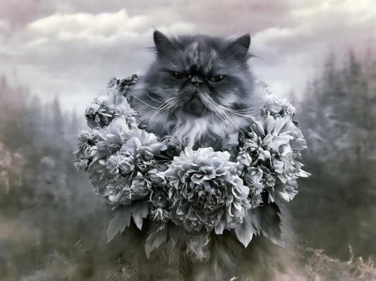 Papillon mural représentant un chat persan avec une couronne de fleurs