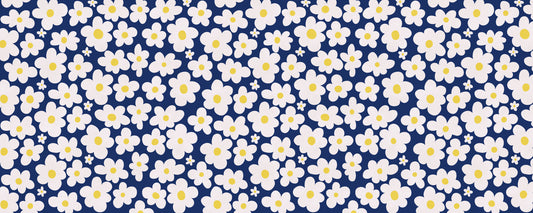 Papier peint panoramique à motif de champ de marguerites nocturnes