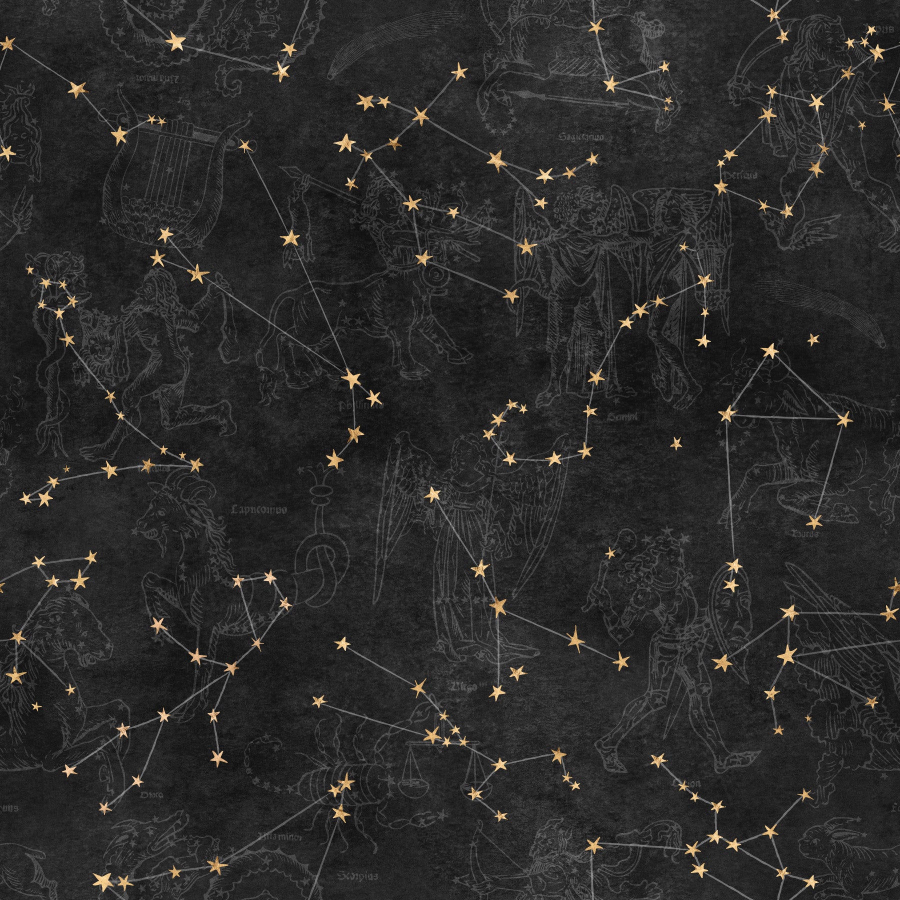 Eternal Star Atlas - Antracietkleurig behang⁠