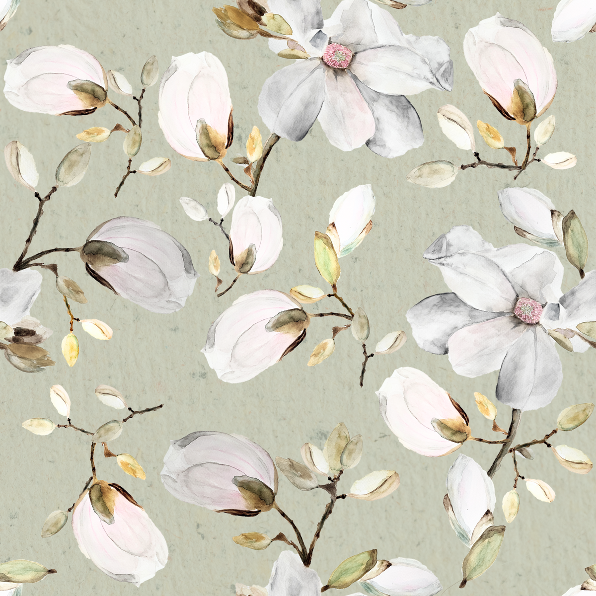 Magnoliat salvianvihreällä taustalla -tapetti in your room — zoomed