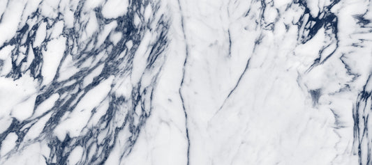 Classic Navy and White Marble Veins Wall Mural