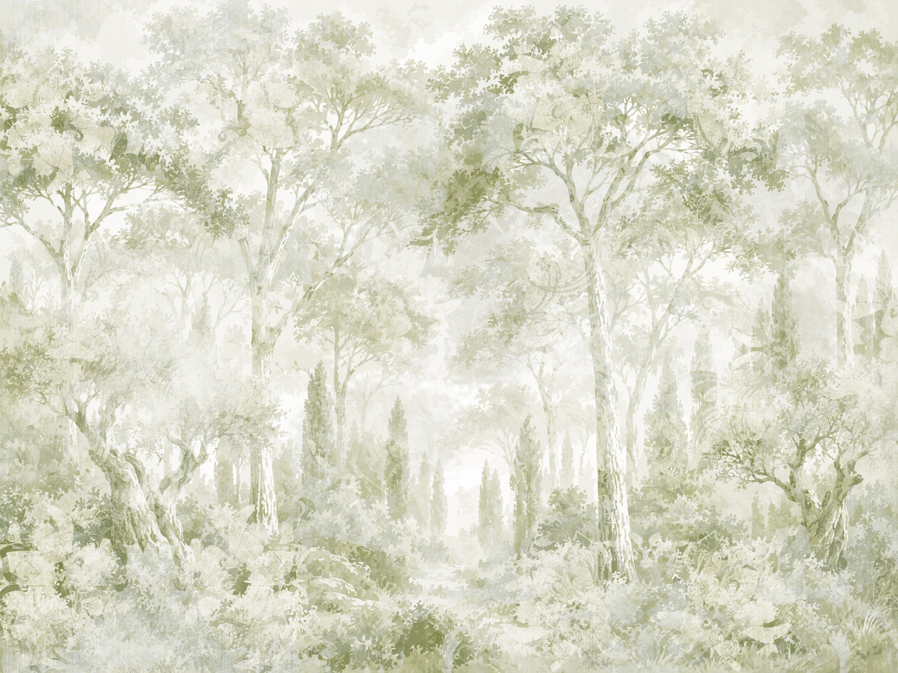 Papier peint panoramique Eucalyptus vert - sentier forestier toscan