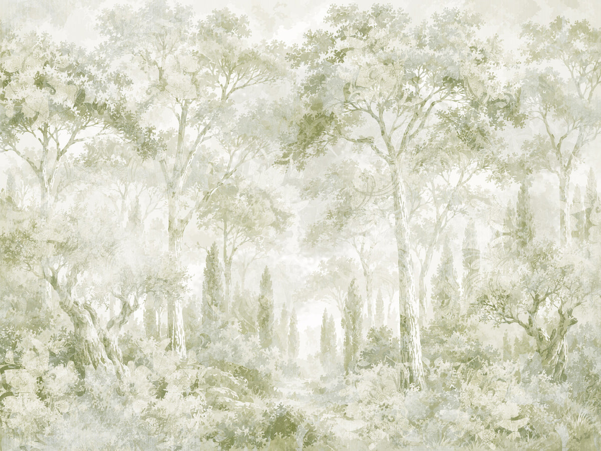 Papier peint panoramique Eucalyptus vert - sentier forestier toscan in your room — zoomed