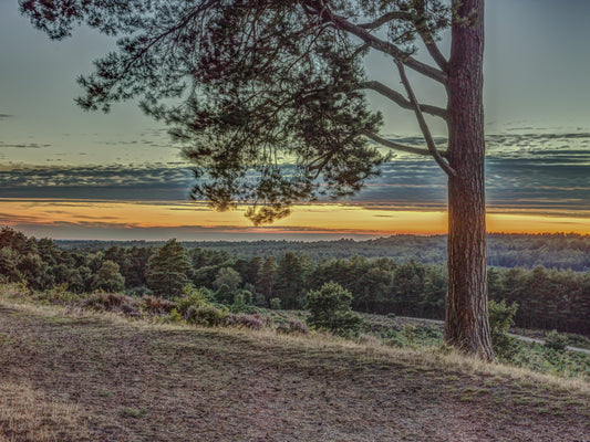 Papier peint panoramique mural Horizon sauvage au crépuscule