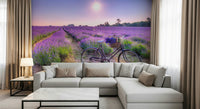 Charming Lavender Ride antique bicycle picture, pastoral aesthetic wallpaper.