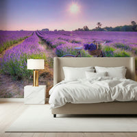 Basket of flowers Lavender Ride image, calming nature wallpaper for rooms.